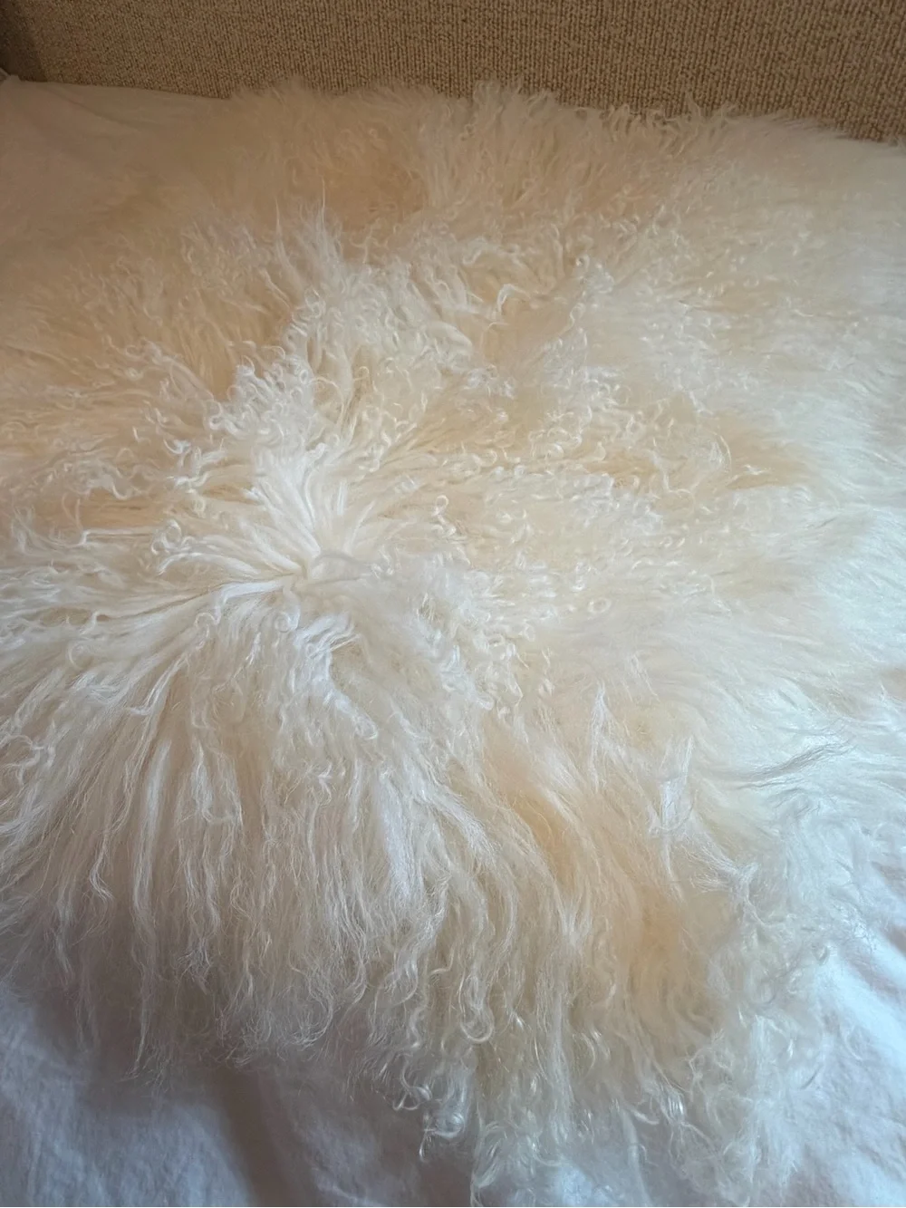 Quince Luxe Mongolian Lamb Pillow Cover 20x20